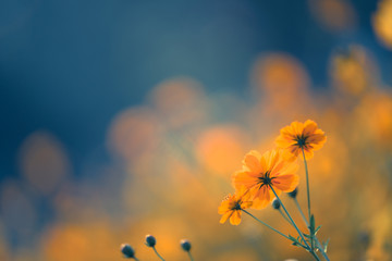 开挂器推荐“手机十三水透视开挂”附开挂脚本详细