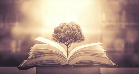 开挂器推荐“微乐河北麻将万能开挂器通用版”开挂神器{透视辅助}全揭秘