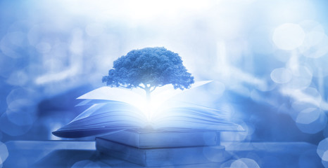 实测开挂辅助：“微乐陕西三代控制器”透视开挂教程