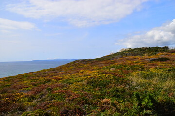 辅助教程“闲来互娱免费辅助下载”开挂(透视)辅助教程!