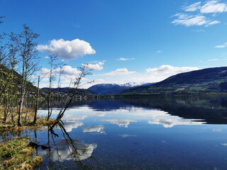 玩家必读“微乐山东麻将万能开挂器通用版”详细开挂