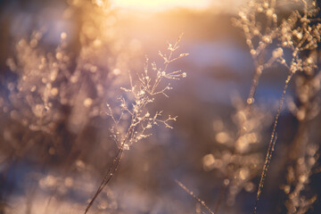 辅助开挂工具“微乐自建房安装挂”开挂(透视)最新辅助详细