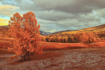 实测开挂辅助：“微乐陕西三代控制器”透视开挂教程