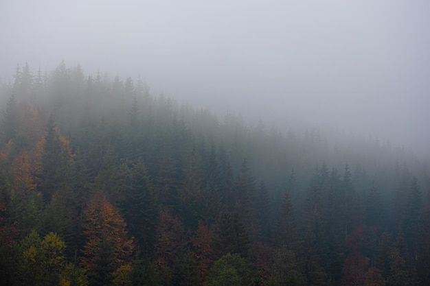 玩家必读“雀神麻将怎么提高胜率”【透视软件教程分享】