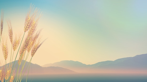 辅助教程分享“雀神广东麻将开挂通用版”开挂(透视)辅助教程!