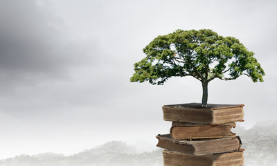 玩家必看教程“微乐捉鸡麻将开挂教程步骤图”开挂辅助脚本