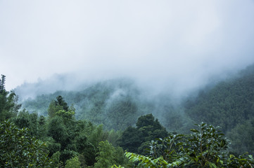 今日必看教程“微乐广西麻将有挂吗”详细开挂